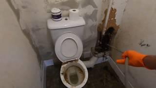 Blocked Toilet Drain 1