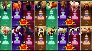 Funny Elephant All videosFunny CowsFunny Ferdinand AllFunny HorsesLets see Who is best?