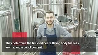 What is Mash » in Beer Brewing & Home Brewing