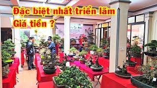 Cây đặc biệt nhất triển lãm có giá hợp lý, sanh nam điền, si, me, duối, giao dịch thành công