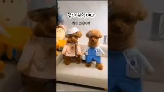 잠이 보약이다~ #건강이먼저다 #건강상식