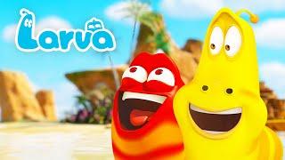 ISLAND ADVENTURE | LARVA | Cartoons for Kids | WildBrain Kids