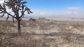 I had to pass on this 2.5 acres near LA Palmdale. (land for sale)