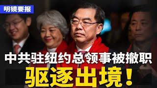 突发：中共驻纽约总领事已被撤职、驱逐 | 明镜要报（2024904）