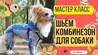 Шьём комбинезон для собаки/ Мастер классы/ Как шить одежду животным/ Одежды для собак своими руками