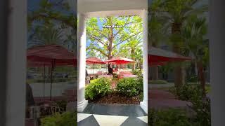 The Palm Beaches