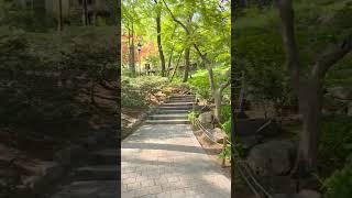 녹지원- 청와대