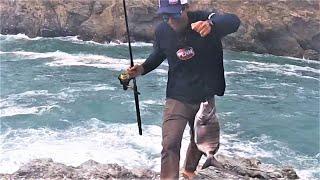 25000 abonnés ça donne la pêche !!Pêche du SAR du bord aux appâts.