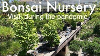 Bonsai Nursery Tour / Los Angeles nursery / During the Pandemic - July 2020