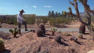 Sustainability Heroes: How 'Cactus Joe' cultivates desert-adaptive plant species at his nursery