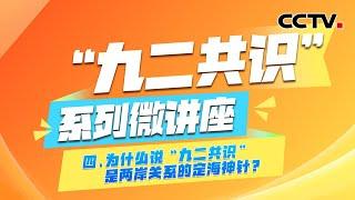 《“九二共识”系列微讲座》第四集：为什么说“九二共识”是两岸关系的定海神针？| CCTV