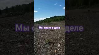 Стараемся#старатели#