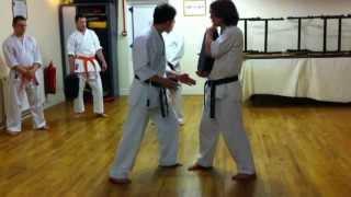 Body Dynamics for Close Range Striking in Traditional Karate