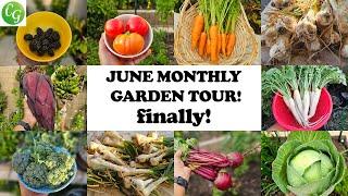 A Bountiful Journey: California Garden Container Tour & Harvest