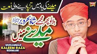 Muhammad Kaleem Raza Rehmani || Bulalo Phir Mujhe Aye Shah e Behrobar || Heart Touching Kalam