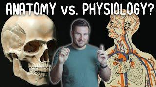 What's the Difference Between Anatomy and Physiology? | Corporis