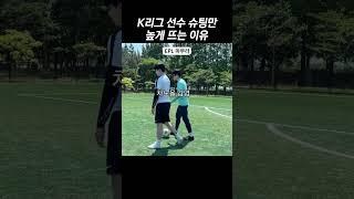 K리그와 EPL 잔디 비교