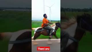 HORSE  training theni     call: 6380 5983 50