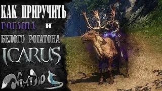 Icarus online(RU). Как приручить...#7 - Рогаш и Белый Рогатон. Высокогорье Хаканас