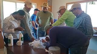 Técnicos de República Dominicana se capacitan en manejo integrado de plagas