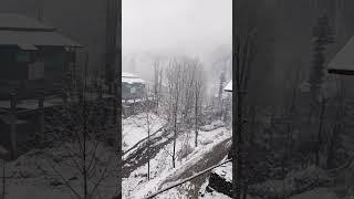 Heavy snow ️ Fall in Halmat towbutt #neelamvalleyazadkashmirinwinter