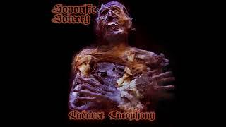 Soporific Sorcery - Cadaver Cacophony (Full Album) (Dungeon Synth)