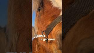 Привет,Я - Даша,4 года я живу на глухом хуторке,варю сыры и создаю свою эстетику деревни! Оставайся!