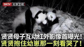 贤贤母子野外珍惜画面首曝光！贤贤还帮崽崽捧着竹子，抱住幼崽的那一刻感动哭了！【熊猫奇遇记】