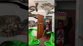 Animal funny video Anaconda snake python in my house in real life bhoot wala usa #bhojpuri #vfx 12