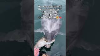 He made sure to thank them, so wholesome  #wholesome #animals