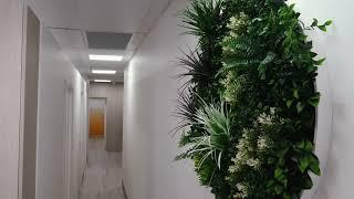 Artificial Plants Installed at a Salon and Nail Shop Brazilian Butterfly Super Quickly & Affordably