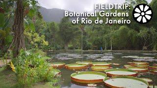 FIELDTRIP: Jardim Botânico do Rio de Janeiro