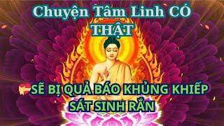 NHỮNG CÂU CHUYỆN TÂM LINH CUỘC SỐNG SẼ BỊ QUẢ BÁO KHỦNG KHIẾP SÁT SINH RẮN