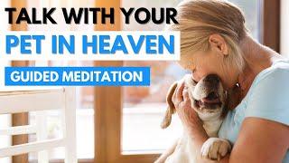 Talk to your pet in heaven - Guided Meditation