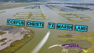 Corpus Christi Tx Marsh Fishing! #kayaking