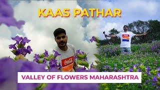 Valley Of Flowers | Kaas Pathar 2024 | Satara | Booking | Time To Visit | Maharashtra