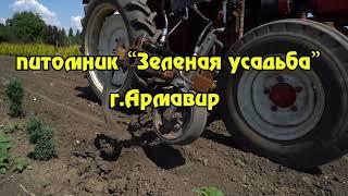 Механическая прополка сорняка в ряду.Пропольщики больше не нужны
