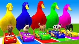 5 Giant Duck Cartoon,Cow,Elephant,Giraffe,Tiger,Lion, Paint Wild Animals Crossing Fountain Animation