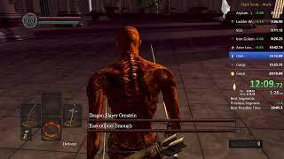 Dark Souls Any% - 20:11 (world record)