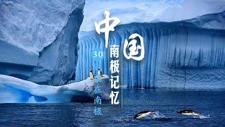 《中国南极记忆》The Antarctic Expeditions Of China Ep30：纪录在南极