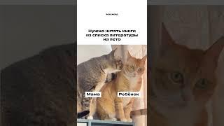 Ох уж этот список литературы на лето #фоксфорд #домашняяшкола #учёба #онлайншкола #школа #юмор #мем