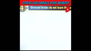 Stress Can Damage your Brain  A2 Amazing Facts #shorts #a2shorts #arvindarora