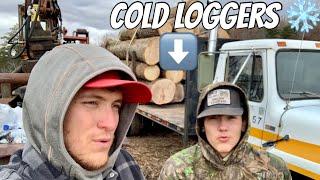 WE ARE LOGGING  AND ITS COLD!