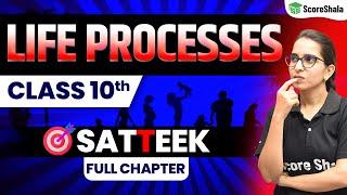 Life Processes Class 10 - Full Chapter  One Shot | Class 10 Scince (Biology) Chapter 6