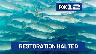 Trump administration pulls US out of agreement to help restore salmon in the Columbia River