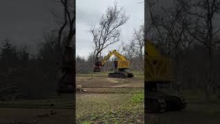 Excavator. Excavator tree cutting skills #shorts #excavator #tractor #jcb #agriculture #machinery