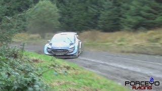 WRC Wales Rally GB 2019 | Porceyo Racing