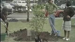 Blue Peter: Opening the time capsules Part 1