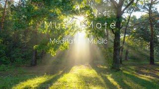 Meditation music in the forest to clear your headRelaxing music, Stress relief music, Healing music