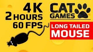 CAT GAMES -  LONG TAILED MOUSE (ENTERTAINMENT VIDEO FOR CATS TO WATCH) 4K 60FPS 2 HOURS